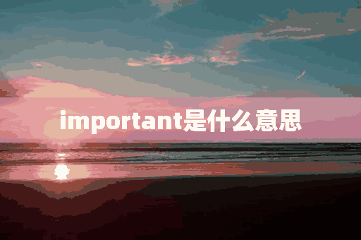 important是什么意思